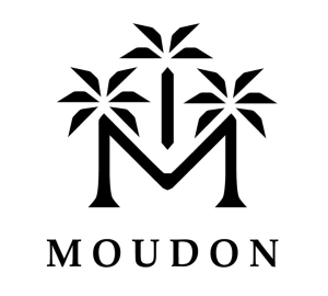 مودون - Moudon