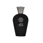 ادوپرفيوم MAGENTICS حجم 100 ميل نيکولا فينتي - NICOLA FENETTI