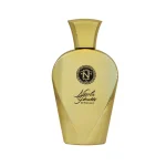 ادوپرفيوم EFFICIENT حجم 100 ميل نيکولا فينتي - NICOLA FENETTI